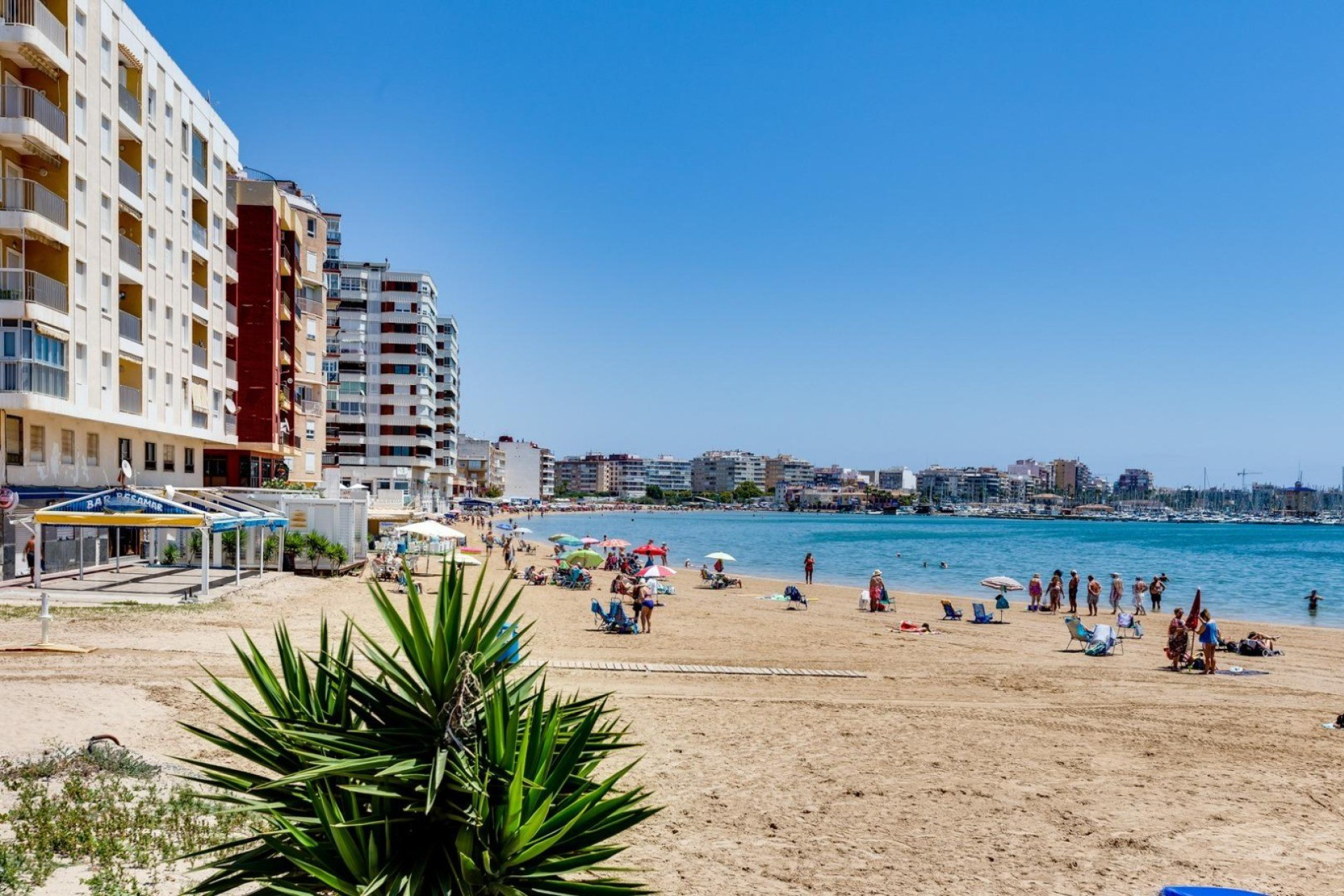 Wiederverkauf - Penthouse - Torrevieja - torrevieja