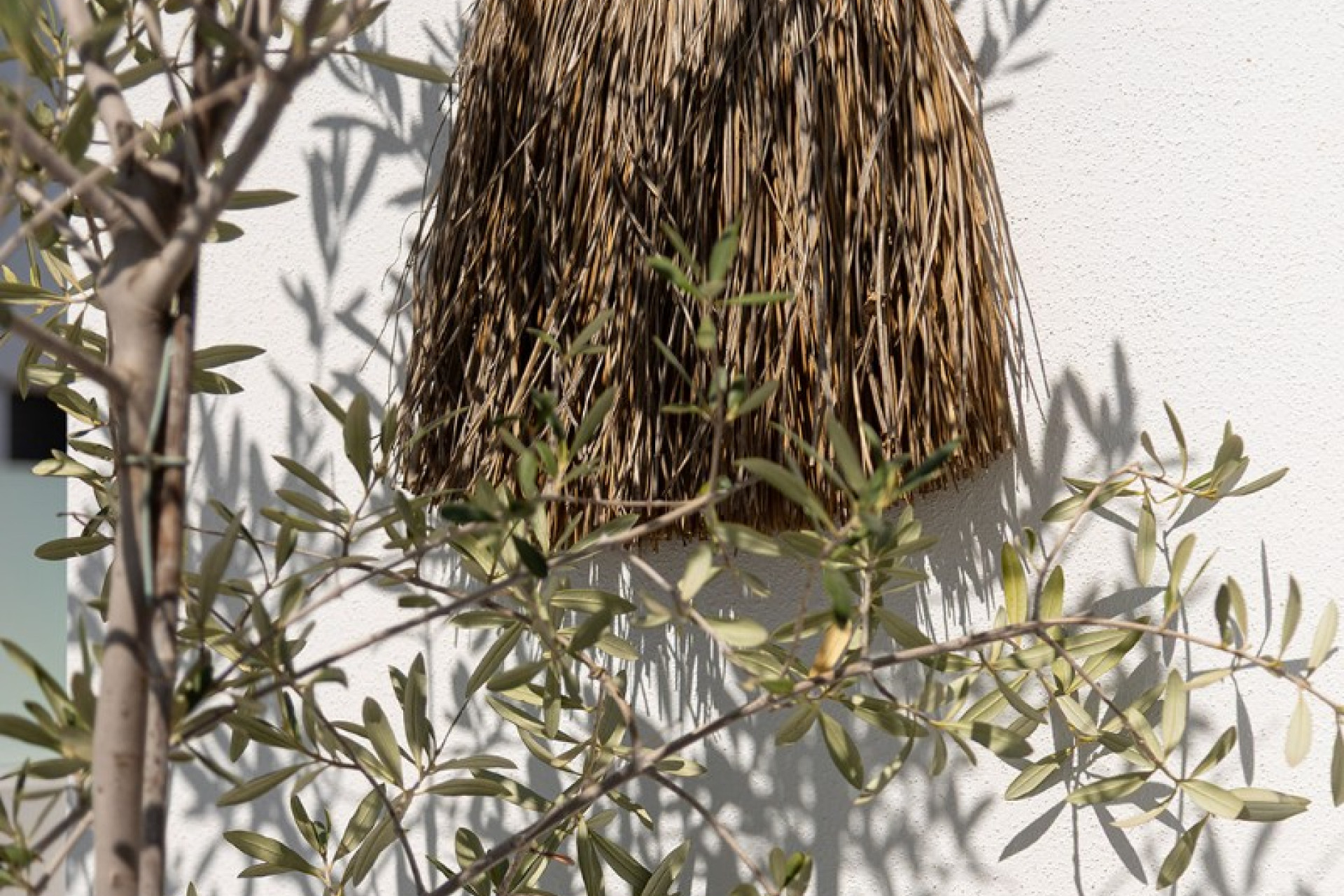 Wiederverkauf - Stadthaus - Dolores