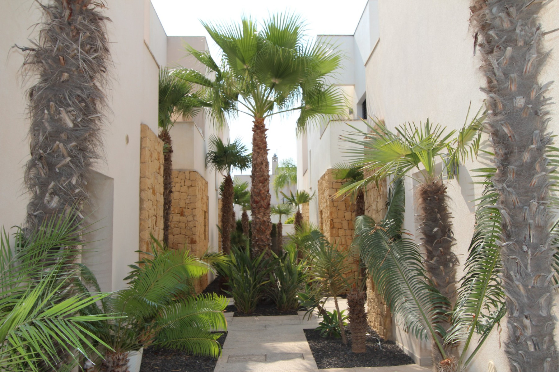 Wiederverkauf - Villa - Ciudad Quesada - Doña pepa