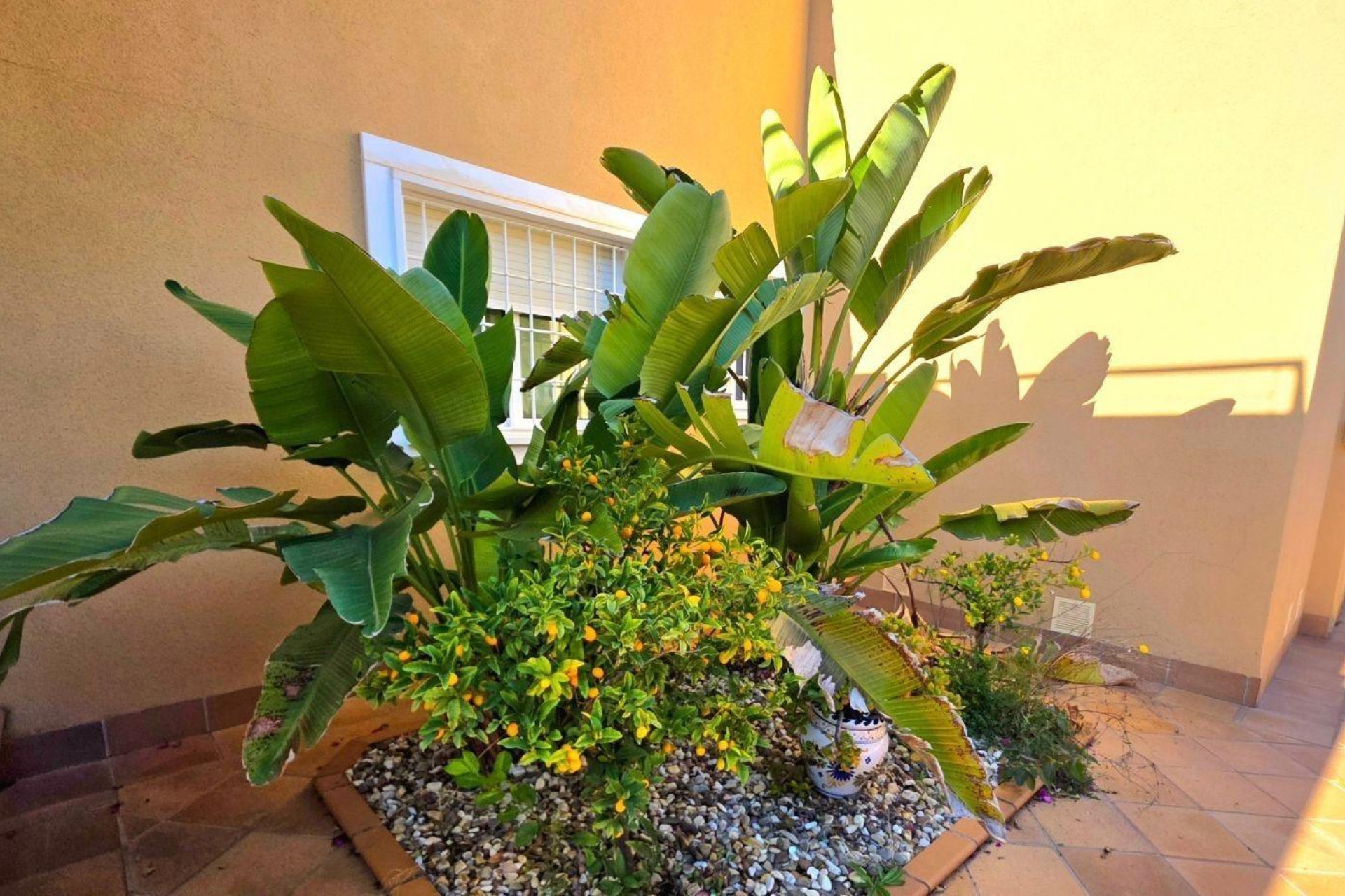 Wiederverkauf - Villa - Dehesa de Campoamor - Campoamor