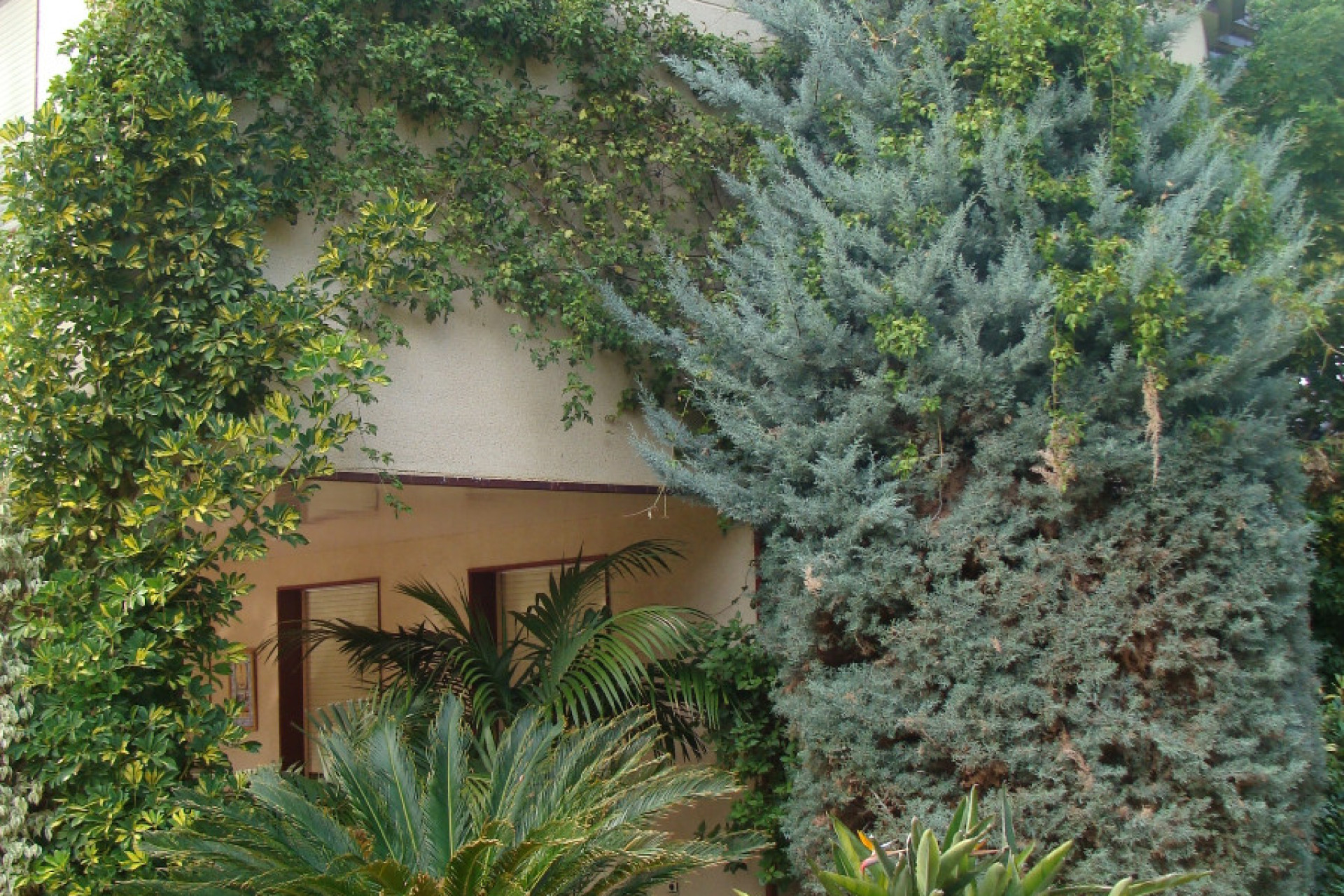 Wiederverkauf - Villa - Elche