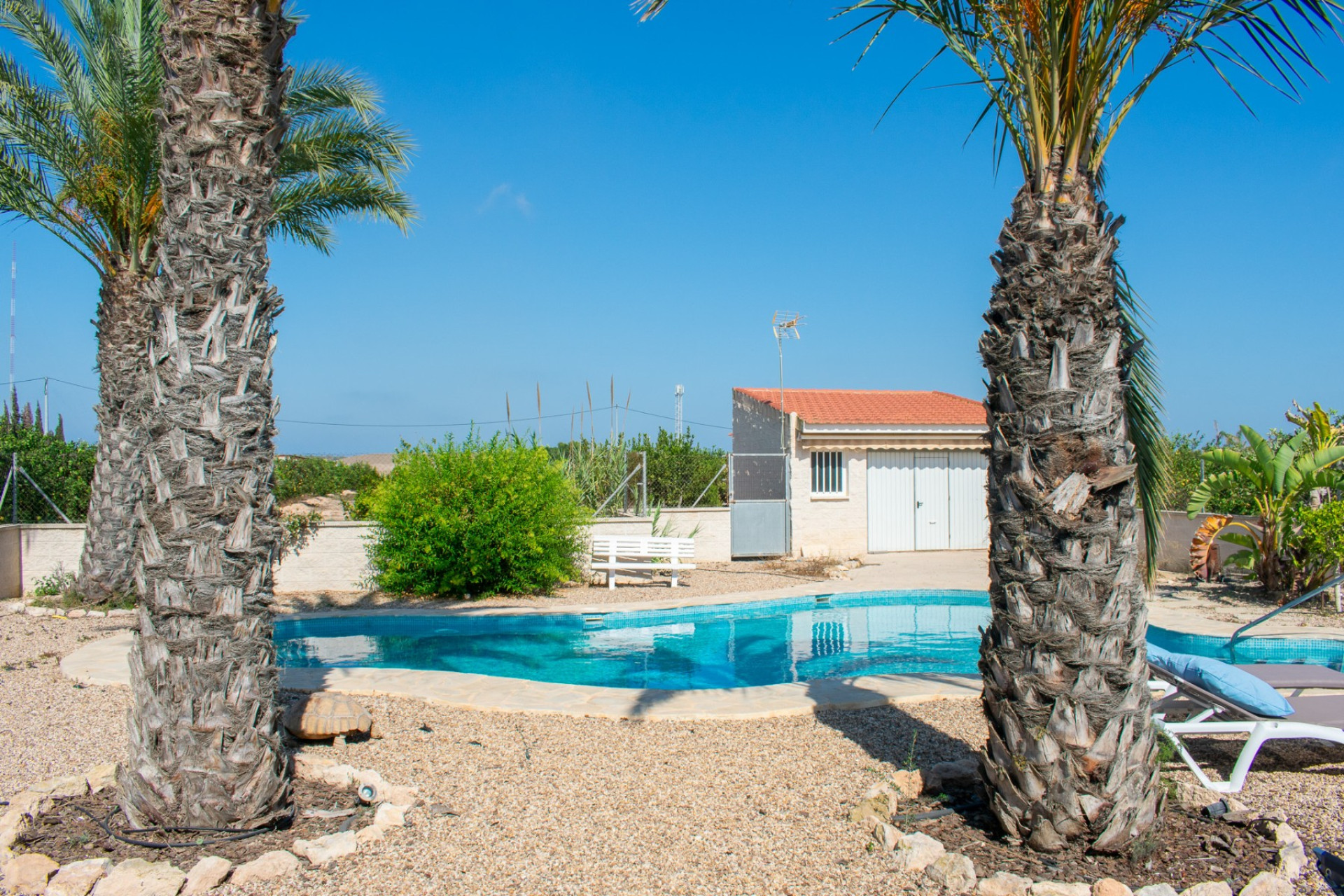 Wiederverkauf - Villa - Guardamar del Segura - El Raso