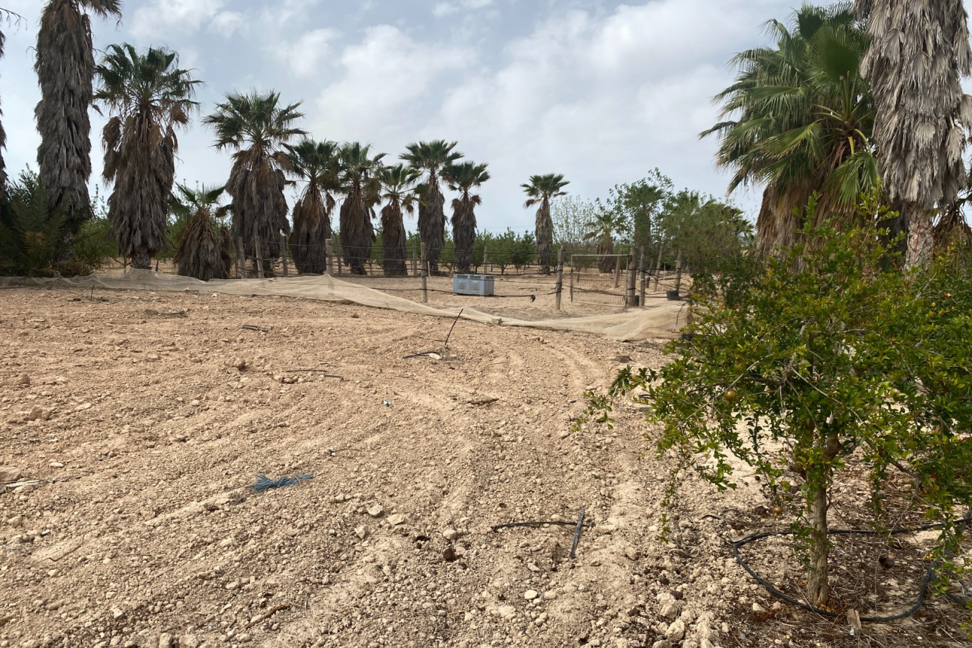 Wiederverkauf - Villa - Monforte del Cid