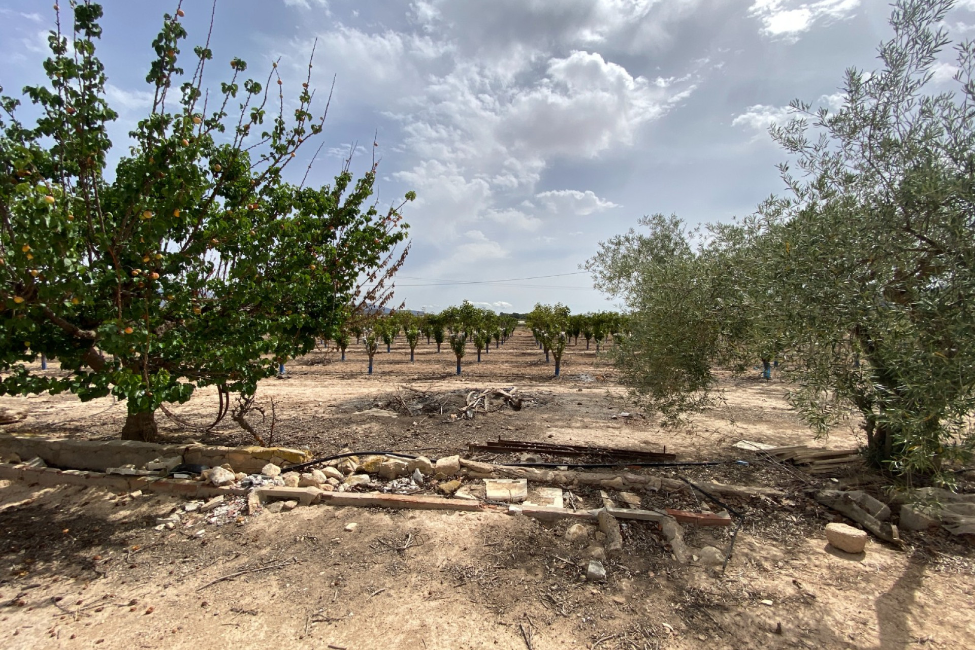 Wiederverkauf - Villa - Monforte del Cid