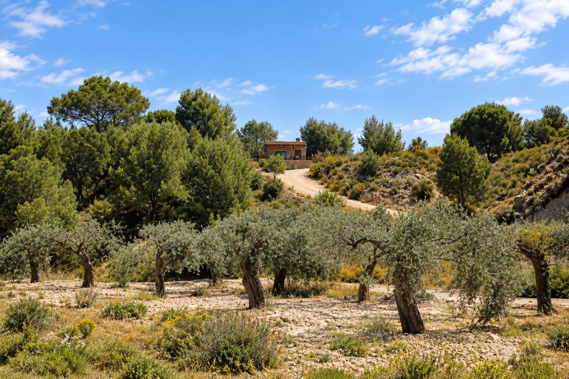 Wiederverkauf - Villa - Murcia - Costa Blanca Sur