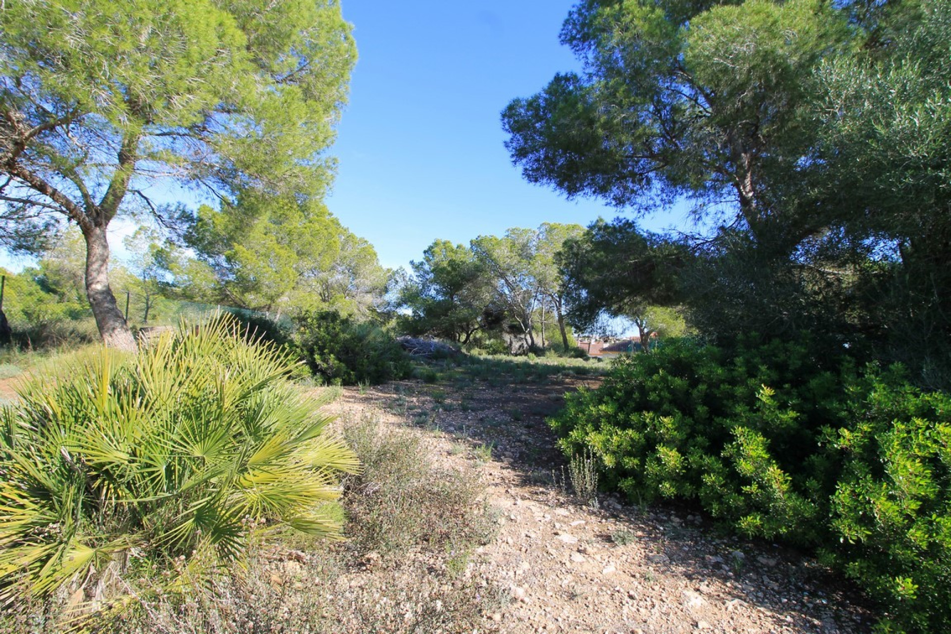 Wiederverkauf - Villa - Orihuela Costa - Mil Palmeras