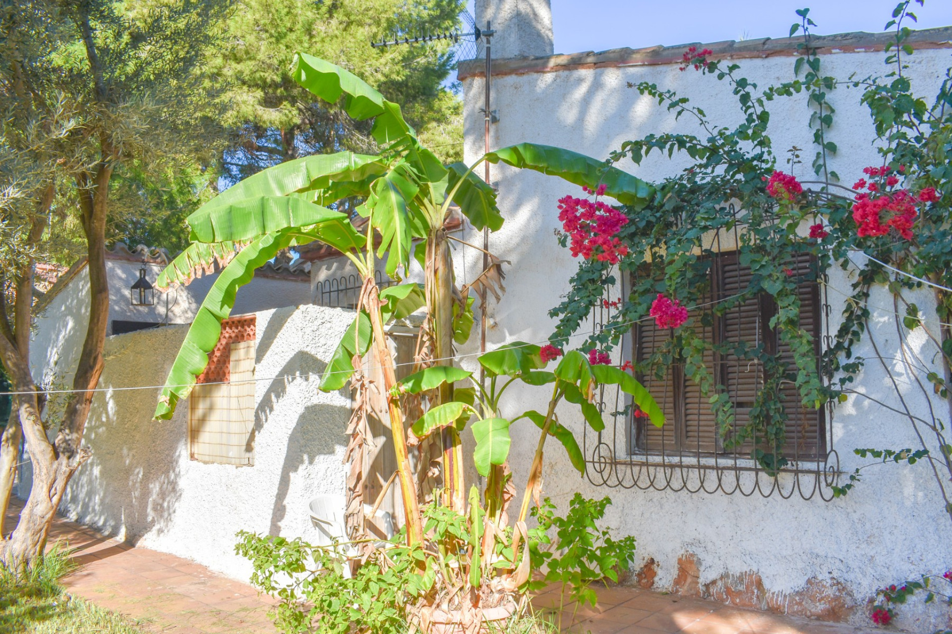 Wiederverkauf - Villa - Orihuela Costa - Punta Prima