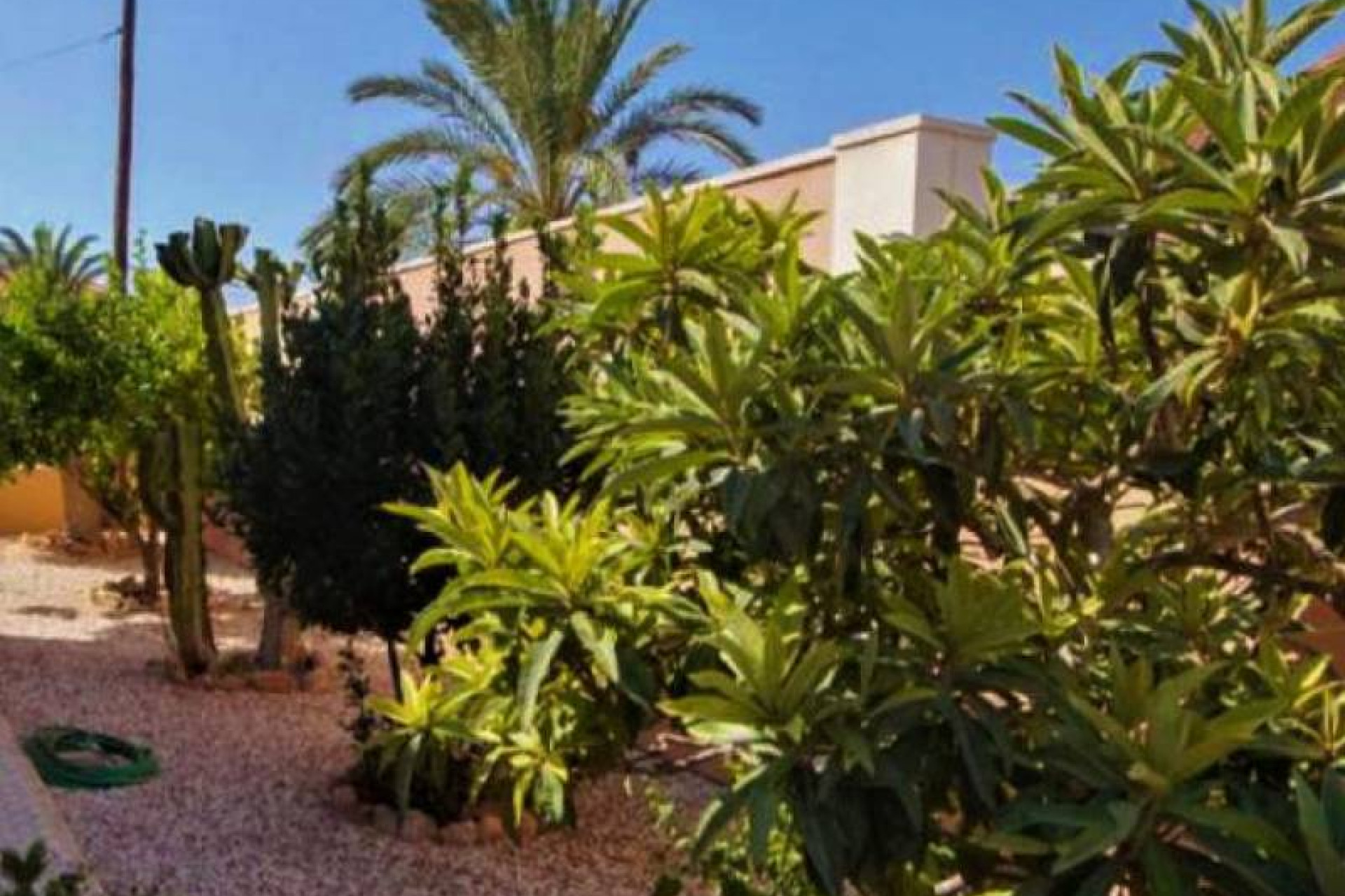Wiederverkauf - Villa - Torrevieja - torrevieja
