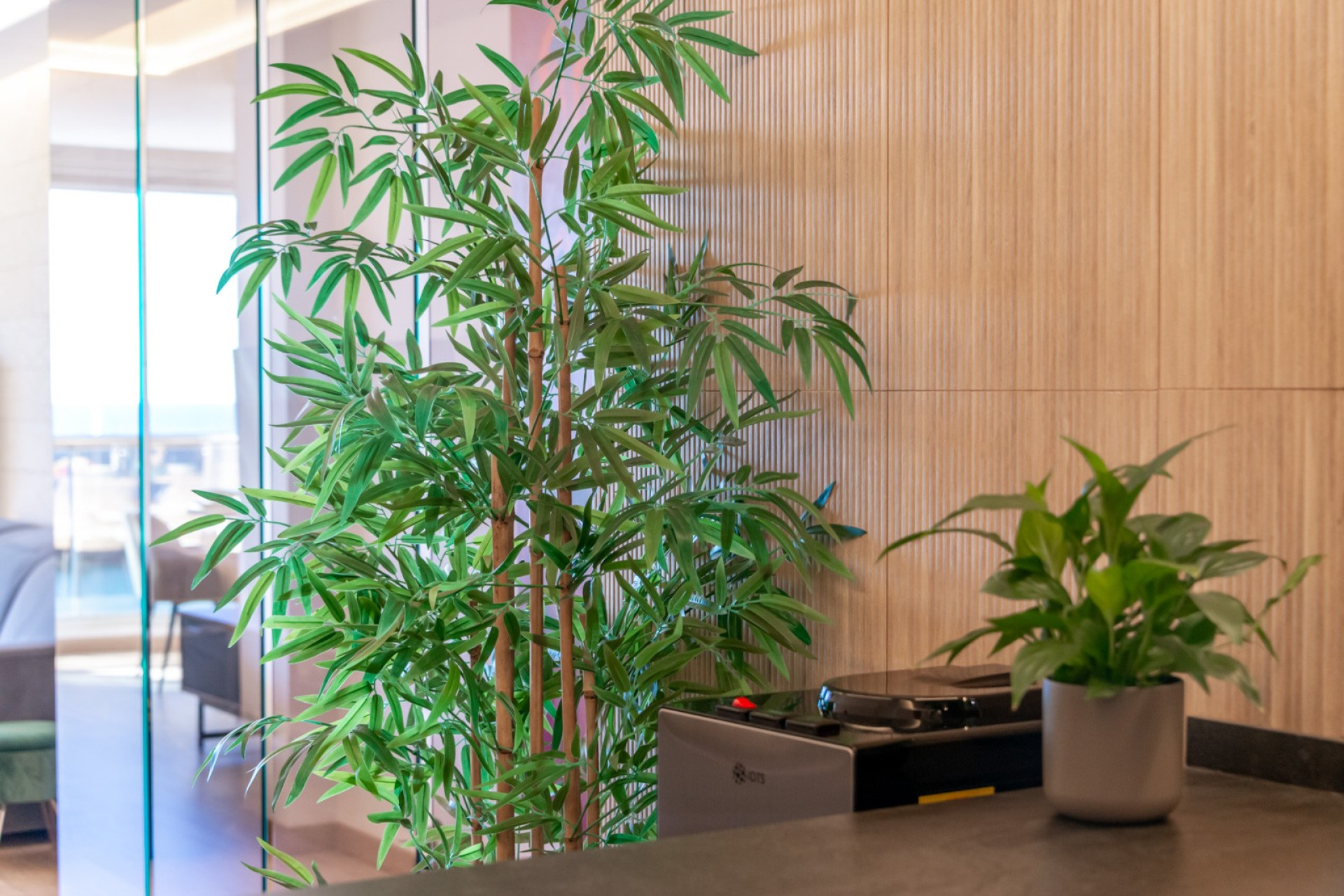 Wiederverkauf - Wohnung - Altea