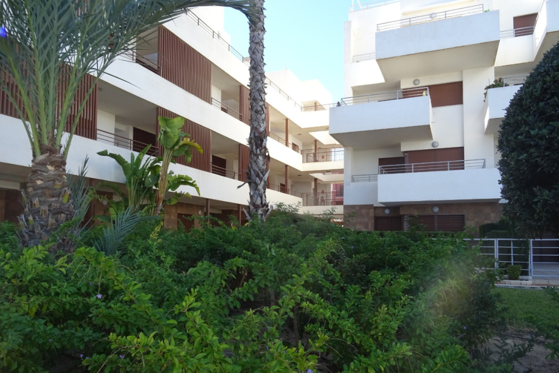 Wiederverkauf - Wohnung - Cabo Roig - Lomas De Cabo Roig
