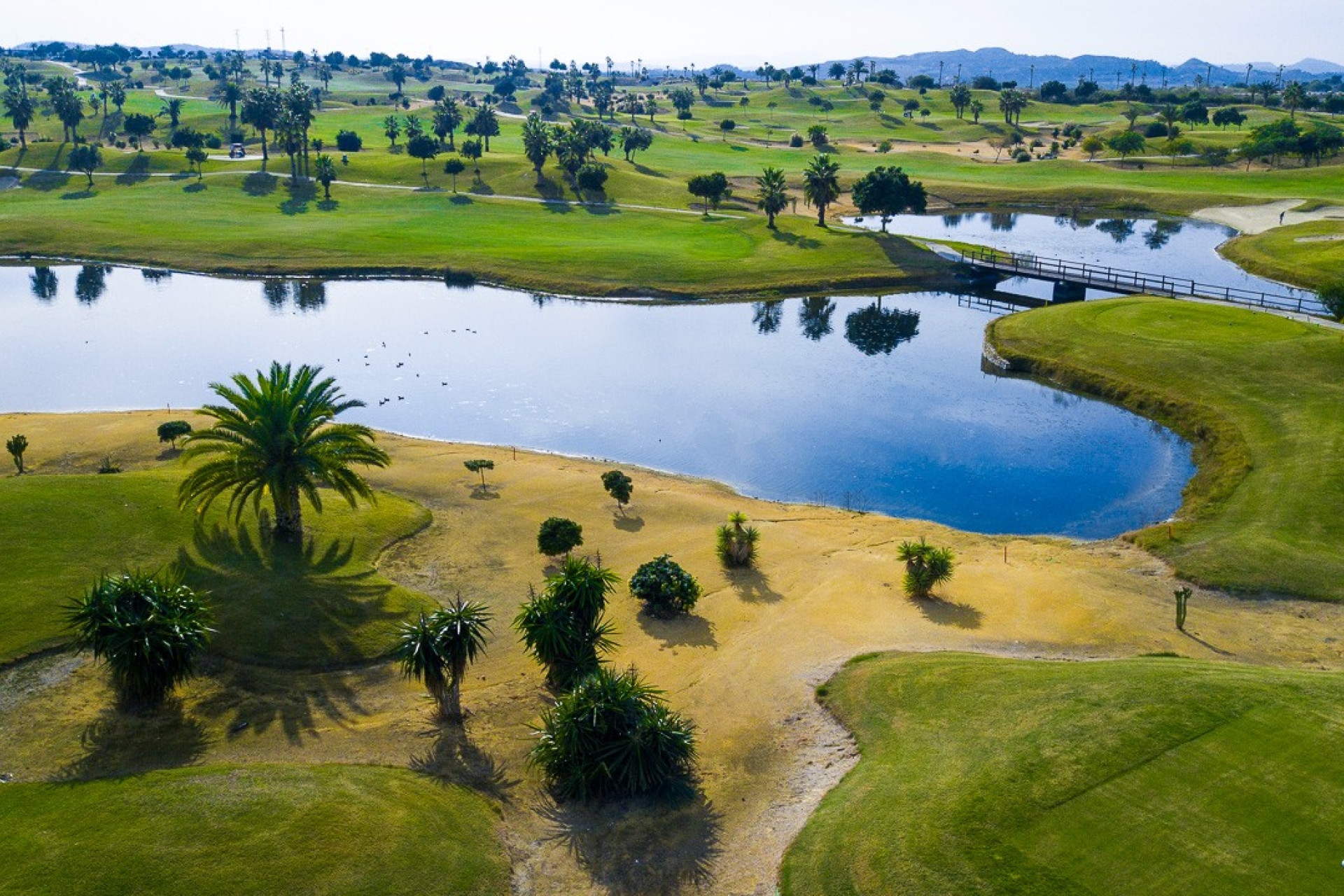 Wiederverkauf - Wohnung - Montesinos - Entre Naranjos / Vistabella Golf