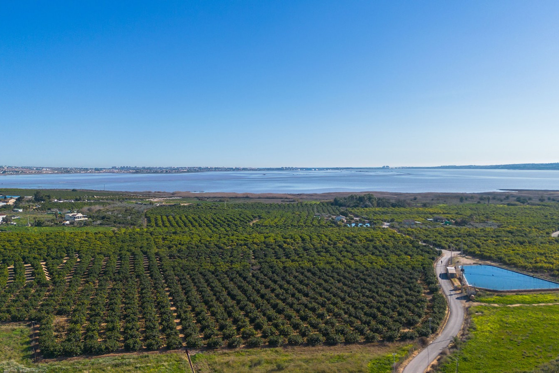 Wiederverkauf - Wohnung - Montesinos - Los Montesinos