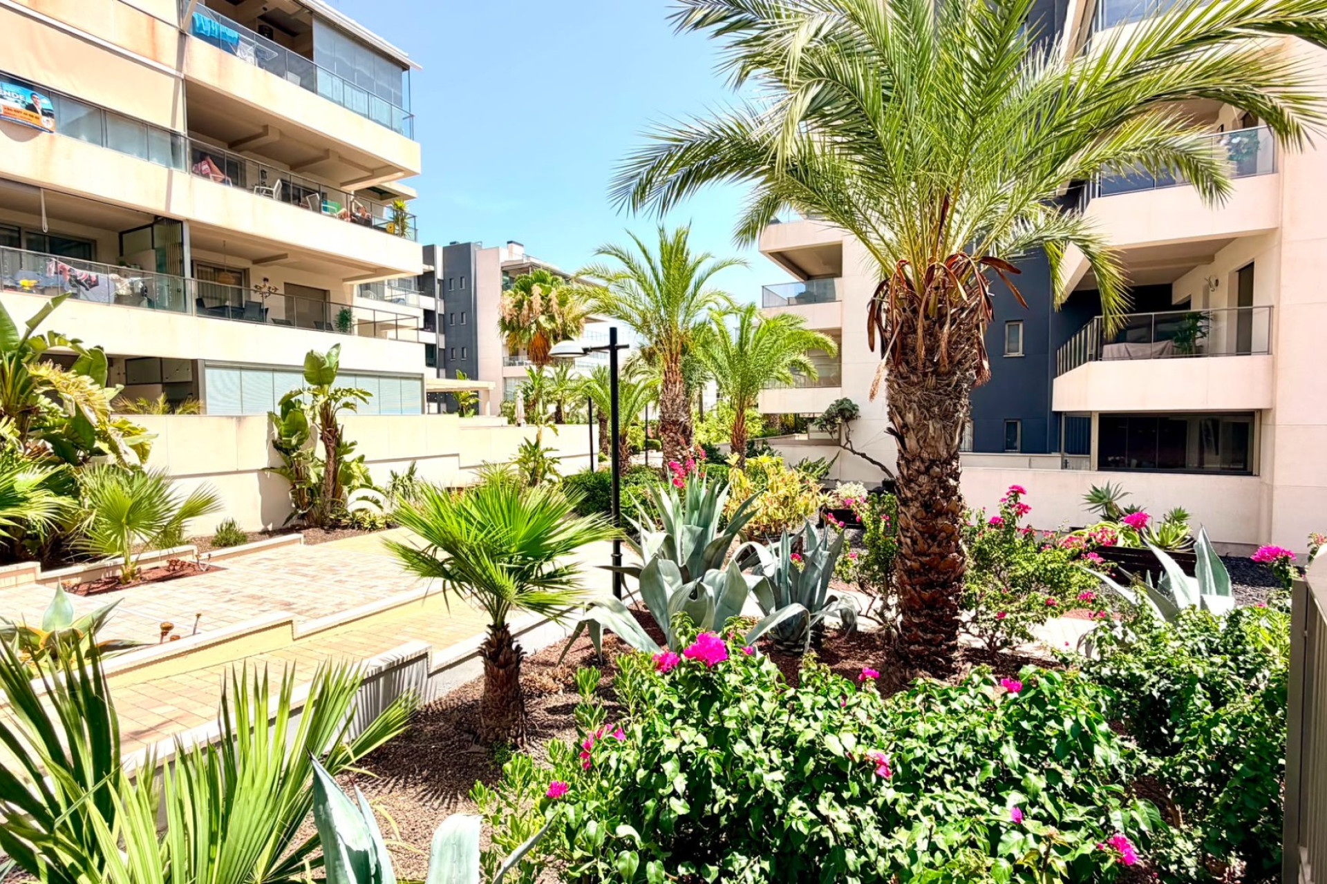 Wiederverkauf - Wohnung - Orihuela Costa - La Zenia