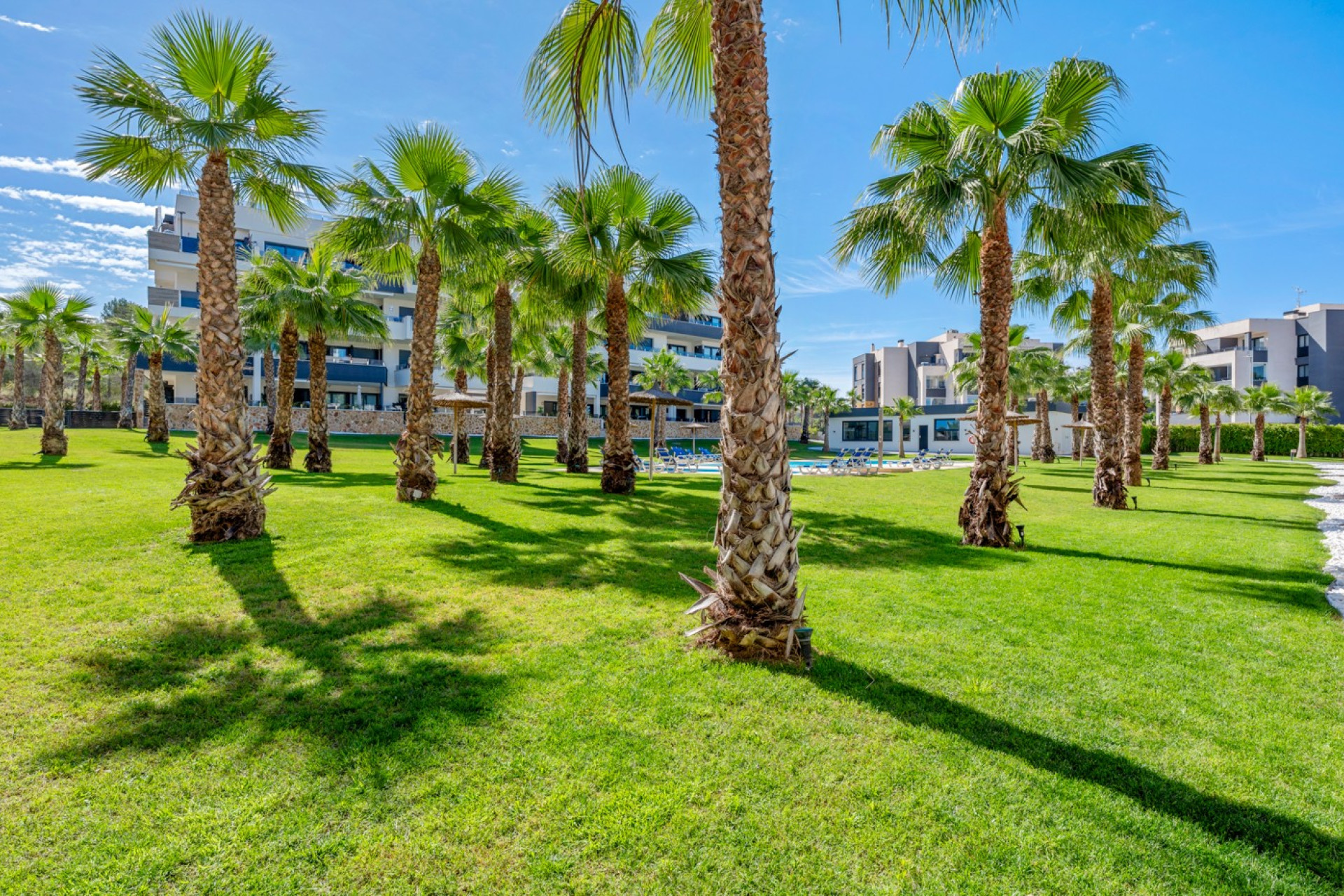 Wiederverkauf - Wohnung - Orihuela Costa - Los Altos