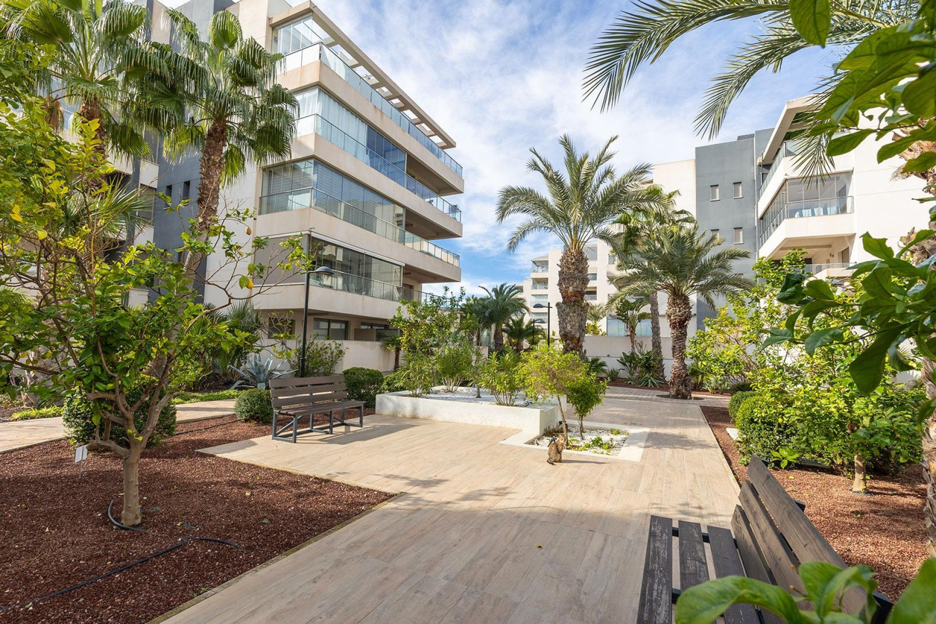 Wiederverkauf - Wohnung - Orihuela Costa - Los Dolses