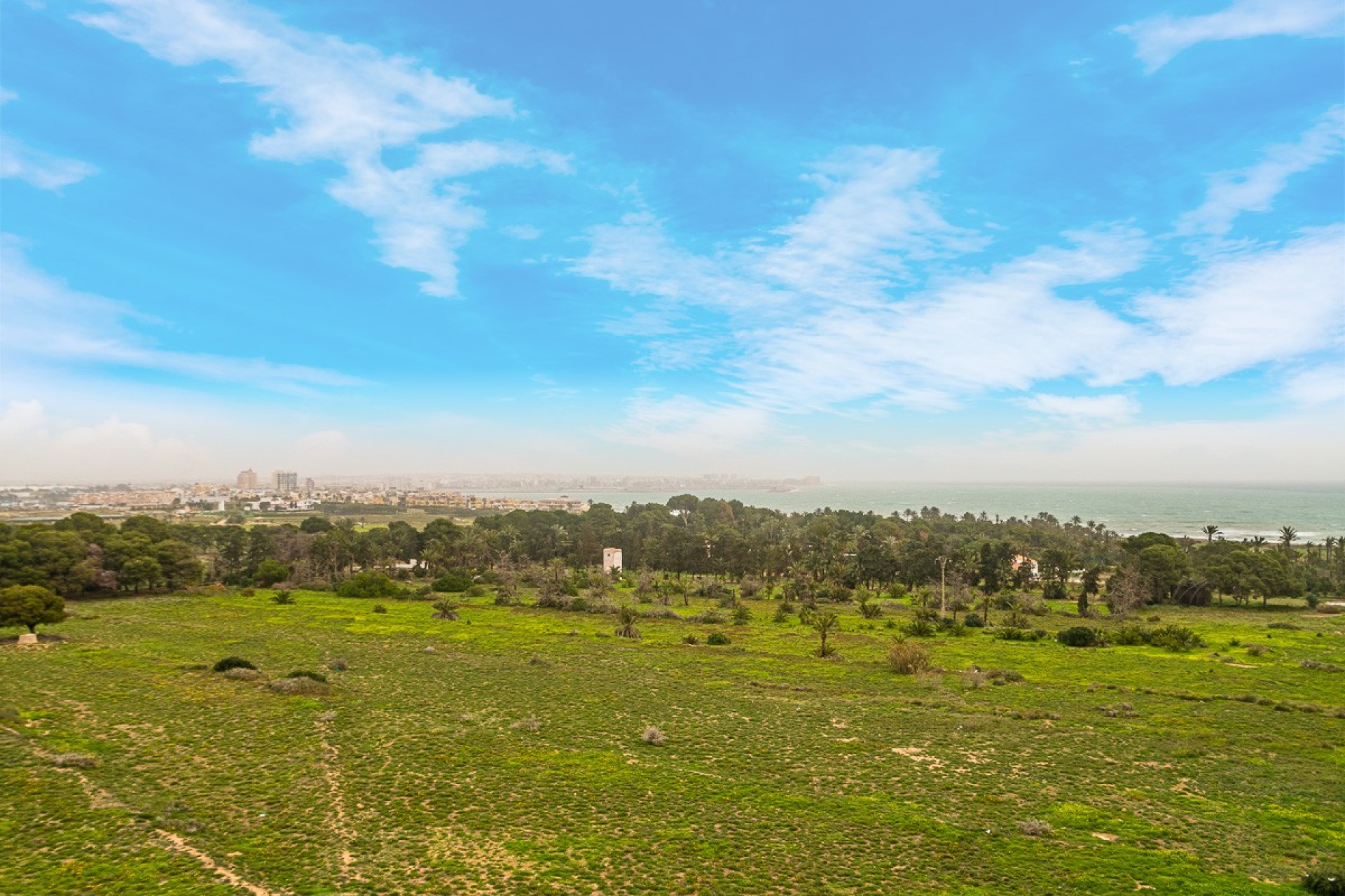 Wiederverkauf - Wohnung - Torrevieja - Punta Prima