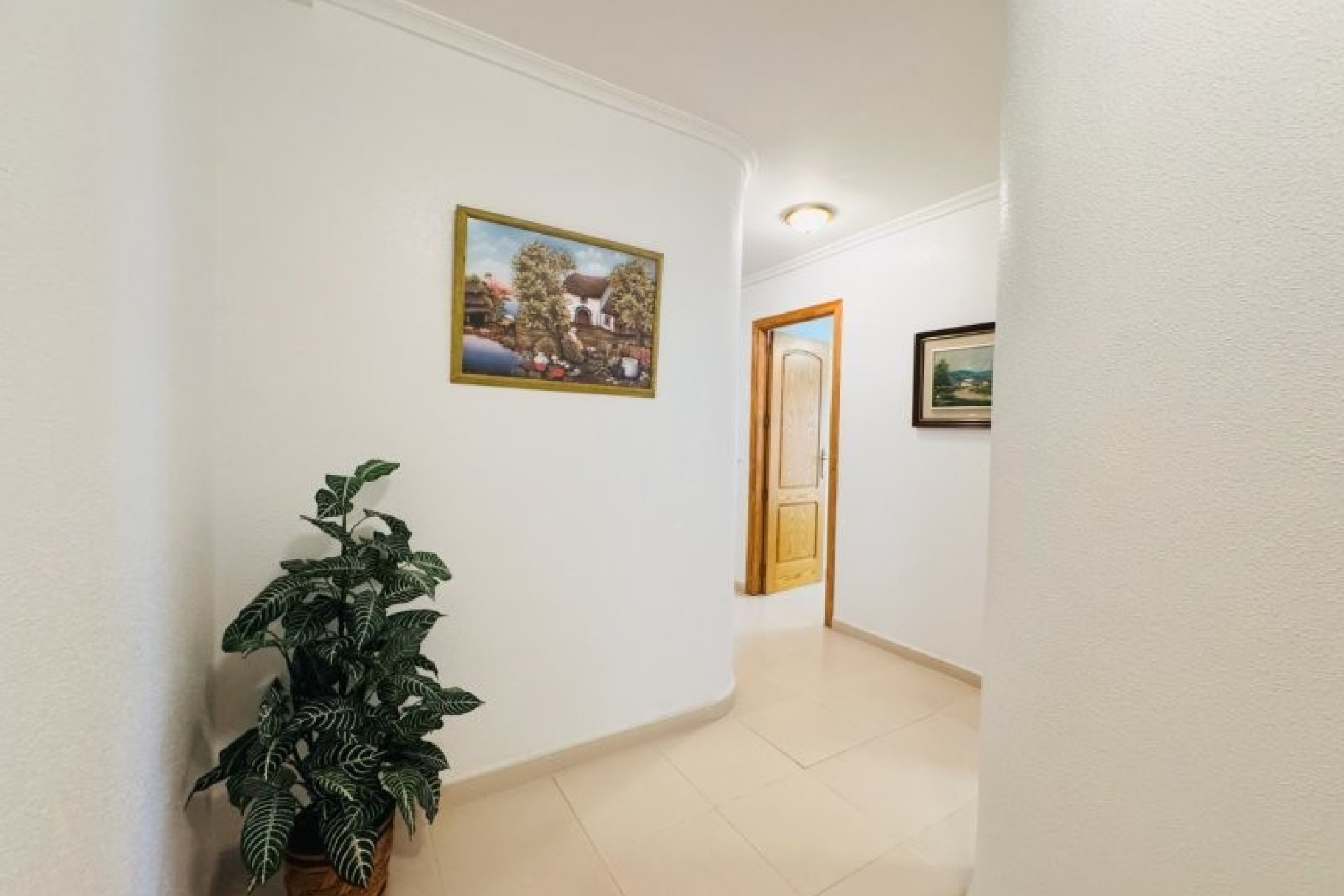 Wiederverkauf - Wohnung - Torrevieja - Torrelamata - La Mata