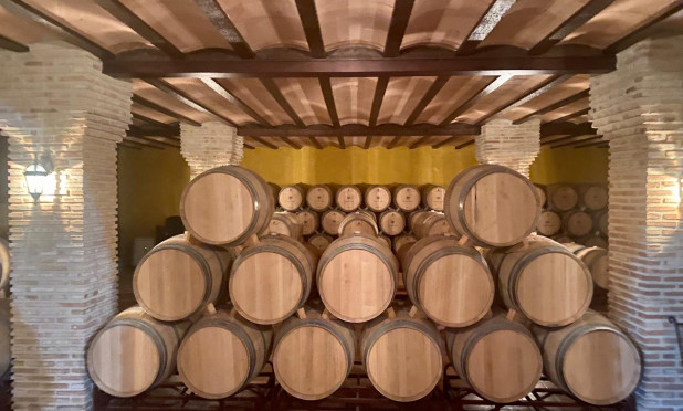 wine cellar - Wiederverkauf - Albacete - C-21037