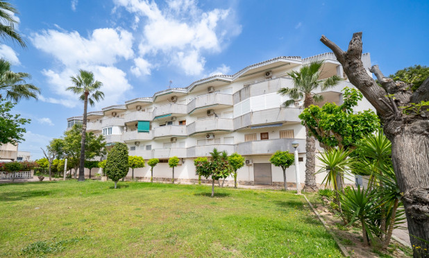 Wohnung - Wiederverkauf - Orihuela Costa - C-44031