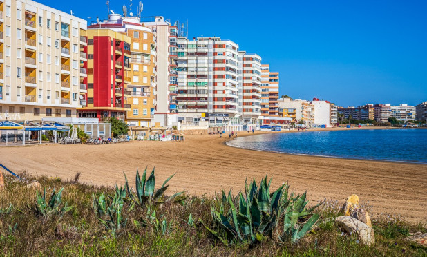 Wohnung - Wiederverkauf - Torrevieja - C-32753