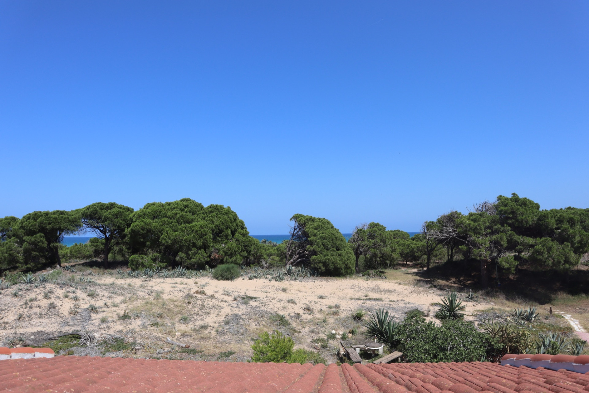 Wynajem długoterminowy - Kamienica - Guardamar del Segura - Urbanizaciones