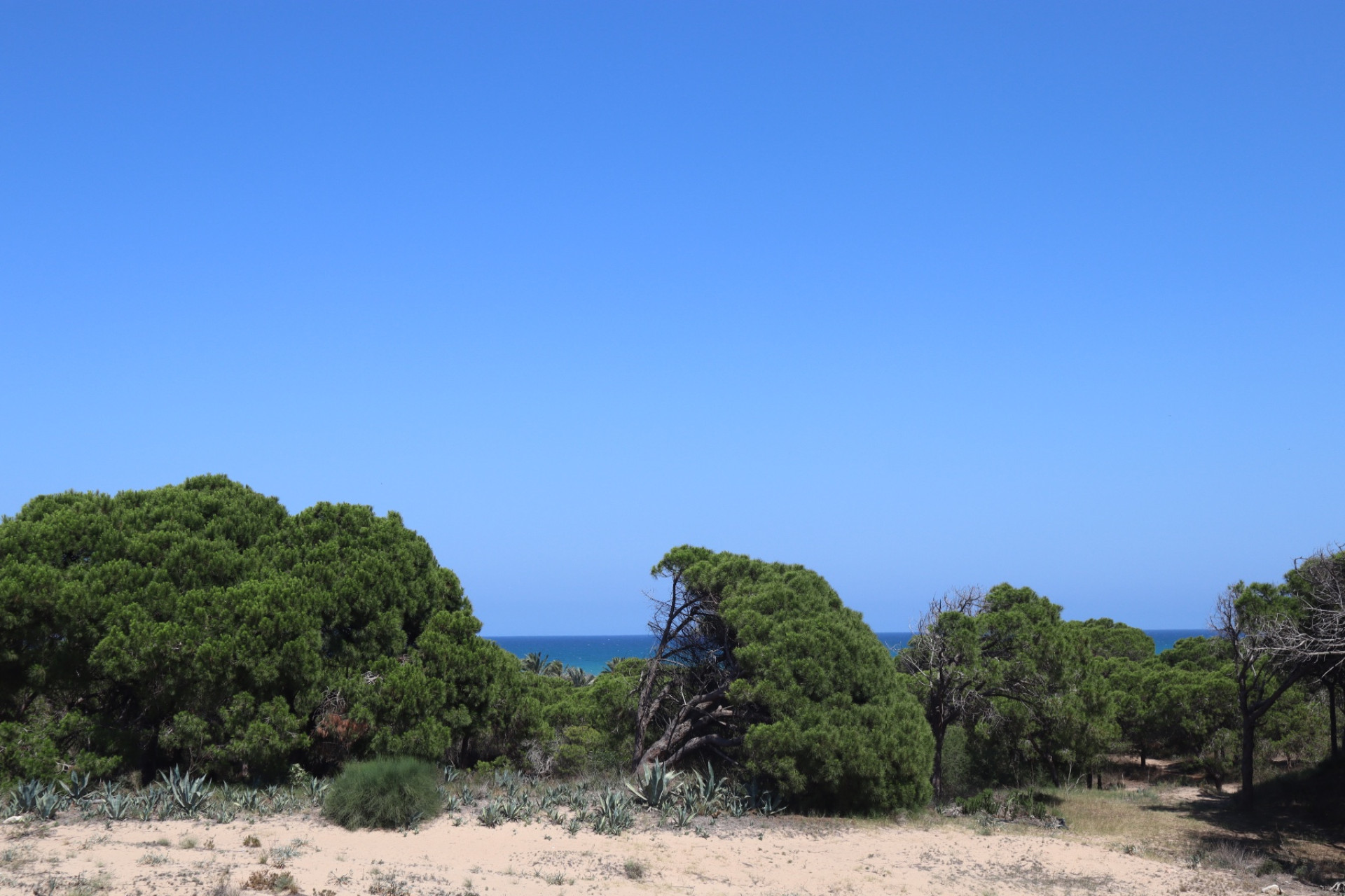 Wynajem długoterminowy - Kamienica - Guardamar del Segura - Urbanizaciones