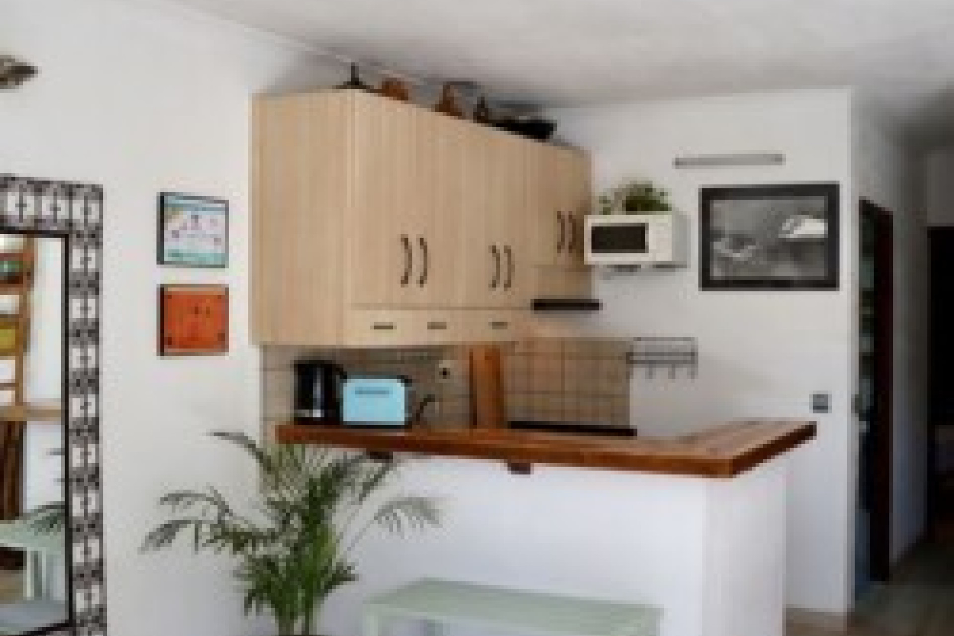 Wynajem długoterminowy - Kamienica - Torrevieja - Playa de los Locos