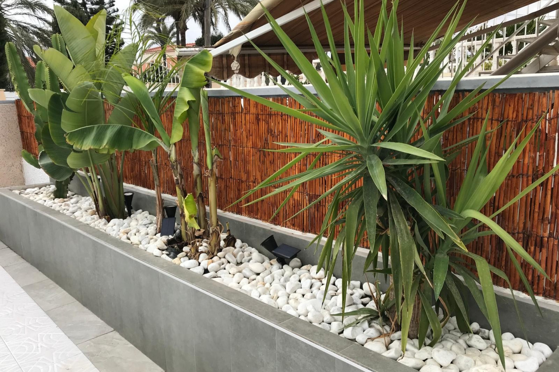 Wynajem długoterminowy - Kamienica - Torrevieja - Playa Los Locos