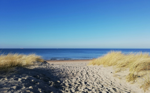 San Pedro del Pinatar