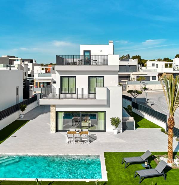 Detached Homes in San Miguel de Salinas