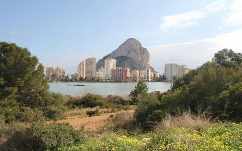 Calpe