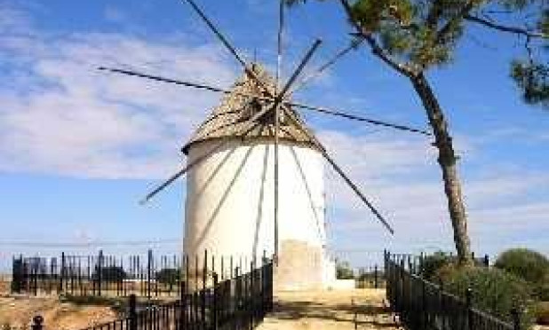 Obra nueva - Villa - Torre Pacheco - Torre-pacheco