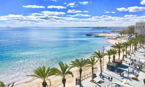 Obra nueva - Villa - Torrevieja - Lago Jardin