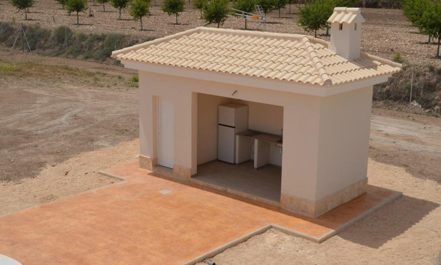 Nouvelle construction - Villa - Pinoso - Camino Del Prado