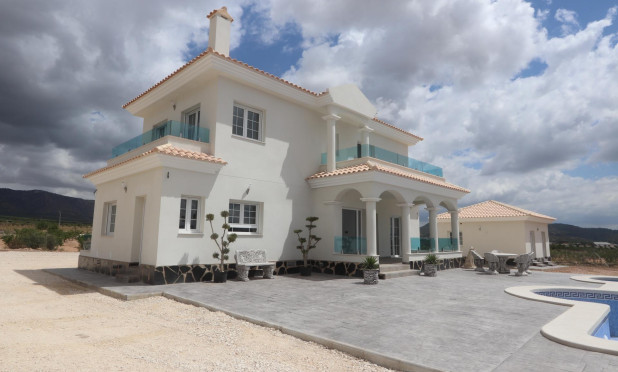 Nouvelle construction - Villa - Pinoso - Camino Del Prado