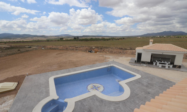 Nouvelle construction - Villa - Pinoso - Camino Del Prado