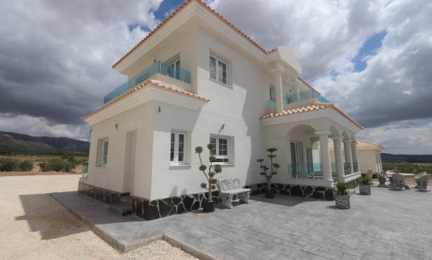 Nouvelle construction - Villa - Pinoso - Camino Del Prado