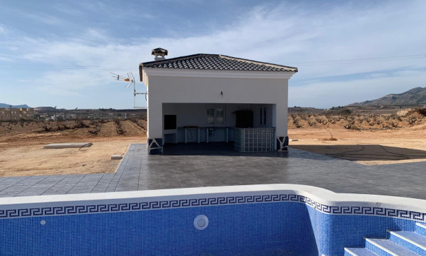 Nouvelle construction - Villa - Pinoso - Camino Del Prado