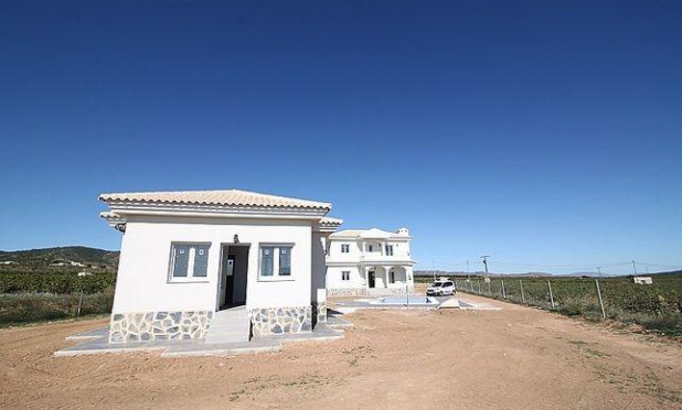 Obra nueva - Villa - Pinoso - Camino Del Prado