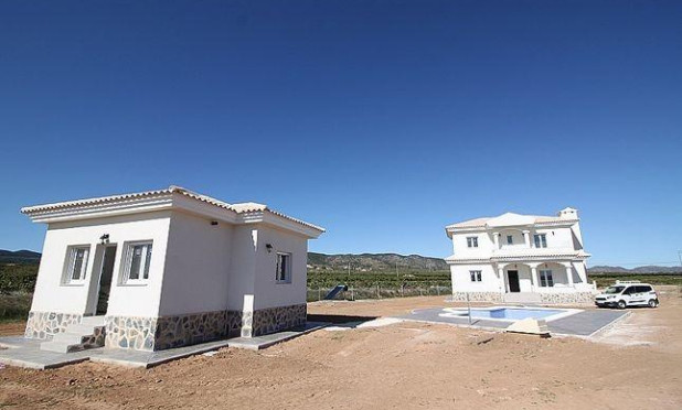 Obra nueva - Villa - Pinoso - Camino Del Prado