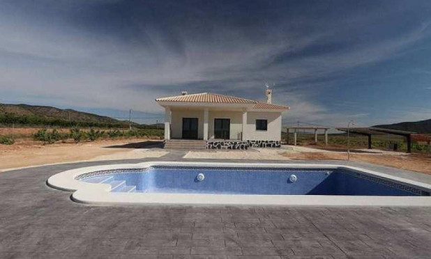 Nouvelle construction - Villa - Pinoso - Camino Del Prado