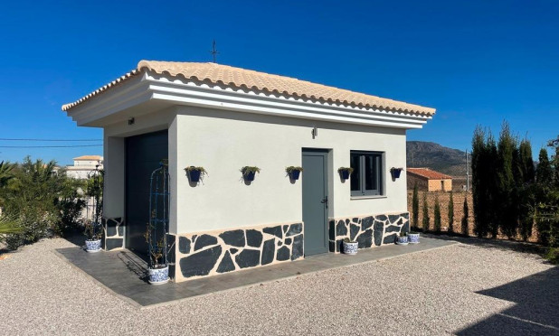 New Build - Villa - Pinoso - Camino Del Prado