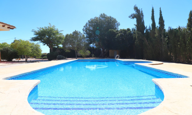 Resale - Finca / Country Property - Callosa de Segura - Callosa de Segura - Country