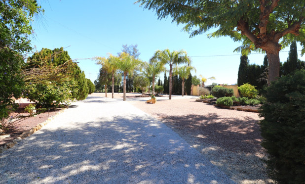 Resale - Finca / Country Property - Callosa de Segura - Callosa de Segura - Country