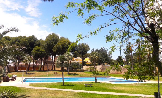 Revente - Appartement - Benidorm - Levante