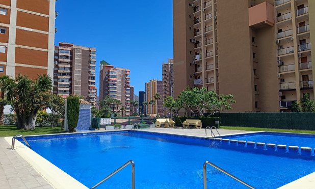 Wiederverkauf - Wohnung - Benidorm - Levante