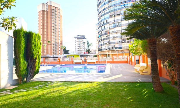 Wiederverkauf - Wohnung - Benidorm - Levante