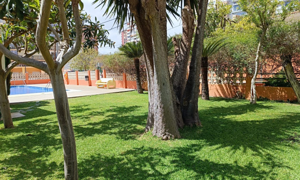 Wiederverkauf - Wohnung - Benidorm - Levante