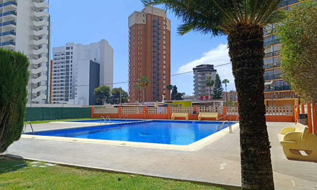 Wiederverkauf - Wohnung - Benidorm - Levante
