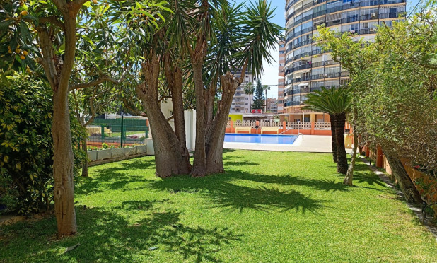 Wiederverkauf - Wohnung - Benidorm - Levante